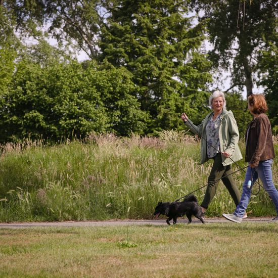 HR Brnhvn 31Mei2022 0607 Hond Uitlaten 4